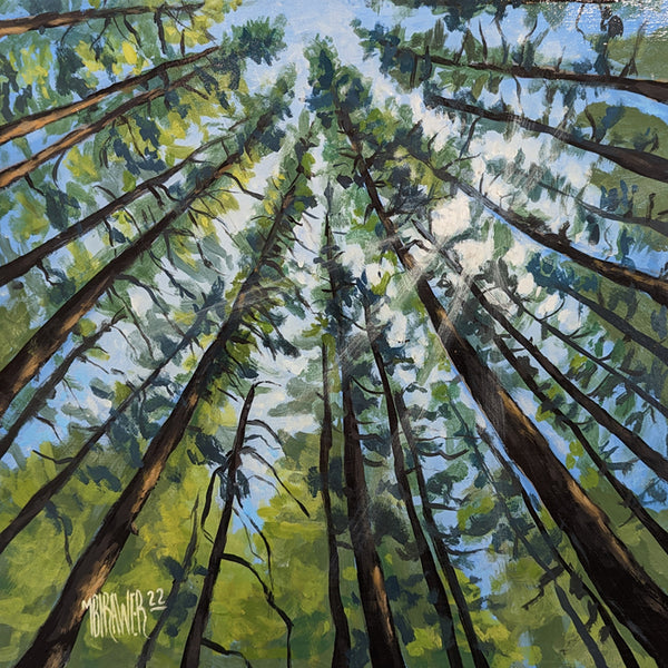 Forest Canopy II Original Painting - Michael Birawer