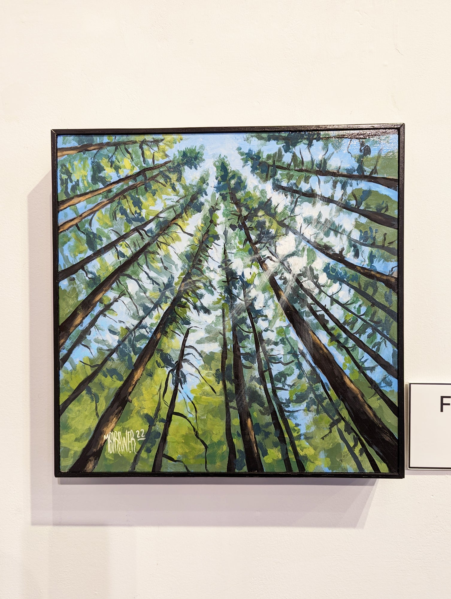 Forest Canopy II Original Painting