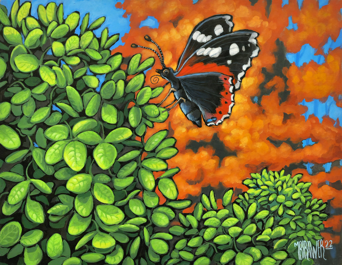 Happy Day for a Red Admiral Original  AVAILABLE