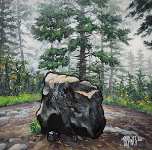 The Resting Rock Original Painting  AVAILABLE