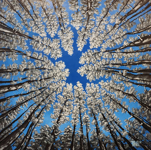 Winter Canopy Original Painting